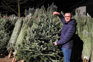 Mehr über den Artikel erfahren Weihnachtszauber bei Pühringer