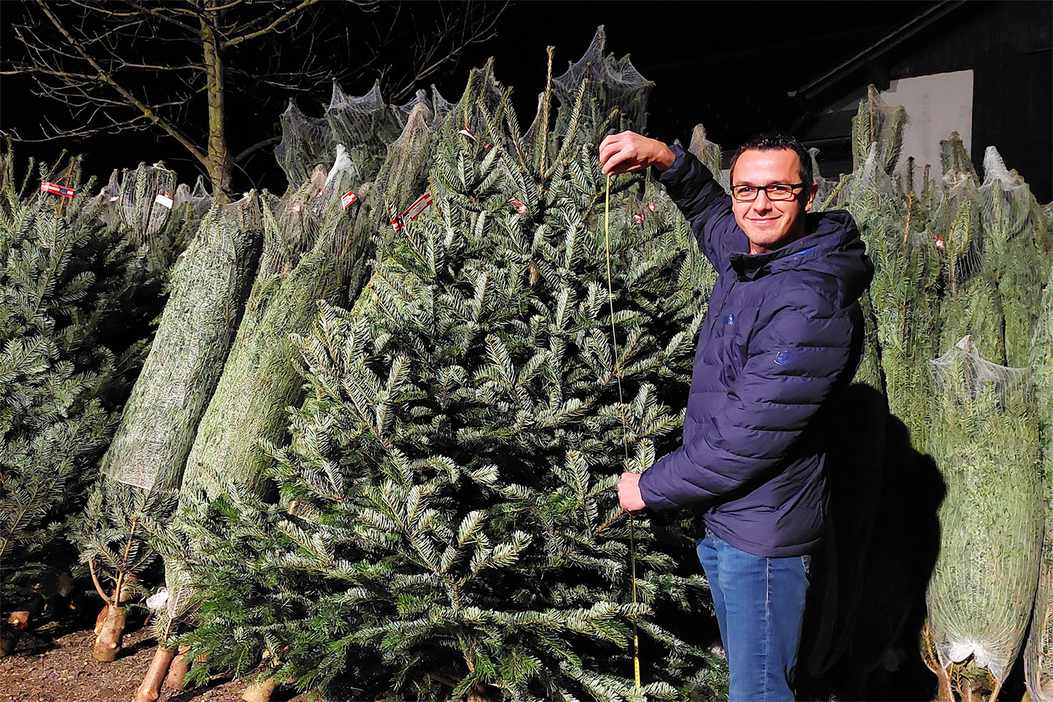 Weihnachtsaktion bei Pühringer - ein Christbaum für jeden Mitarbeiter